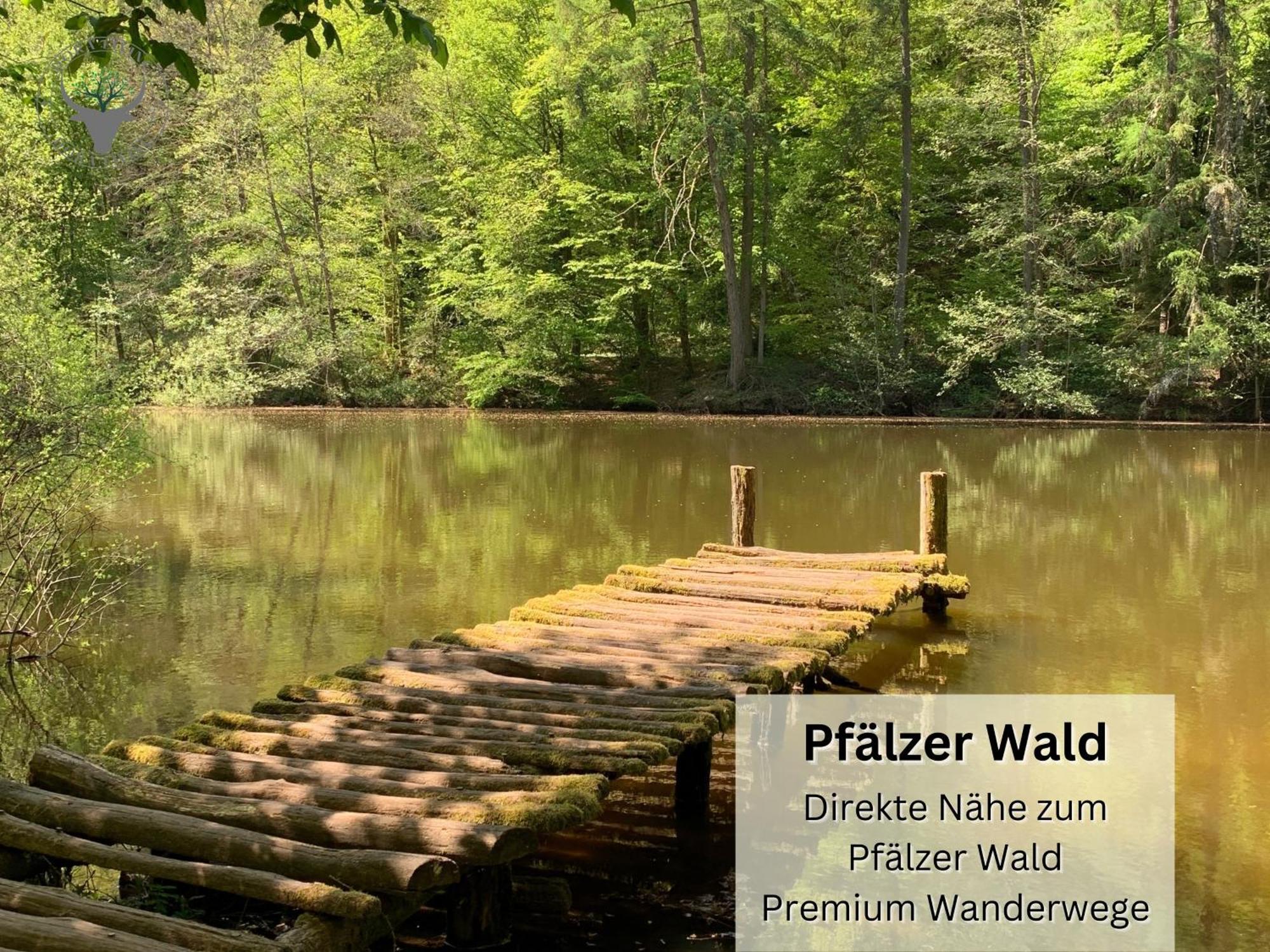 شقة Stierpartment Am Pfaelzer Wald Naehe Outlet Center Zweibruecken بيرمازنز المظهر الخارجي الصورة