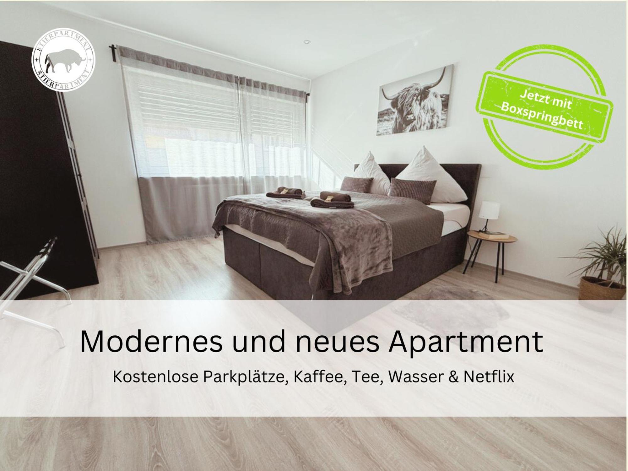 شقة Stierpartment Am Pfaelzer Wald Naehe Outlet Center Zweibruecken بيرمازنز المظهر الخارجي الصورة